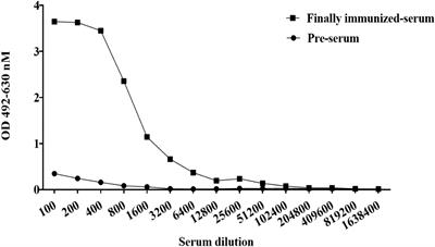 Isolation and characterization of Hc-targeting chimeric heavy chain antibodies neutralizing botulinum neurotoxin type B